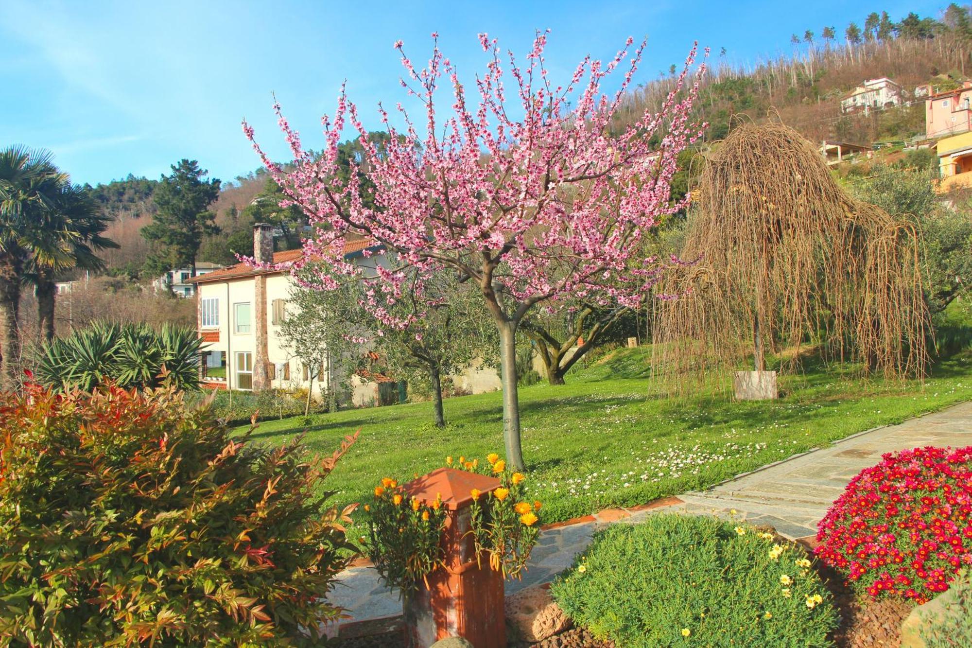 Casa Vacanze Ester Polverara Εξωτερικό φωτογραφία