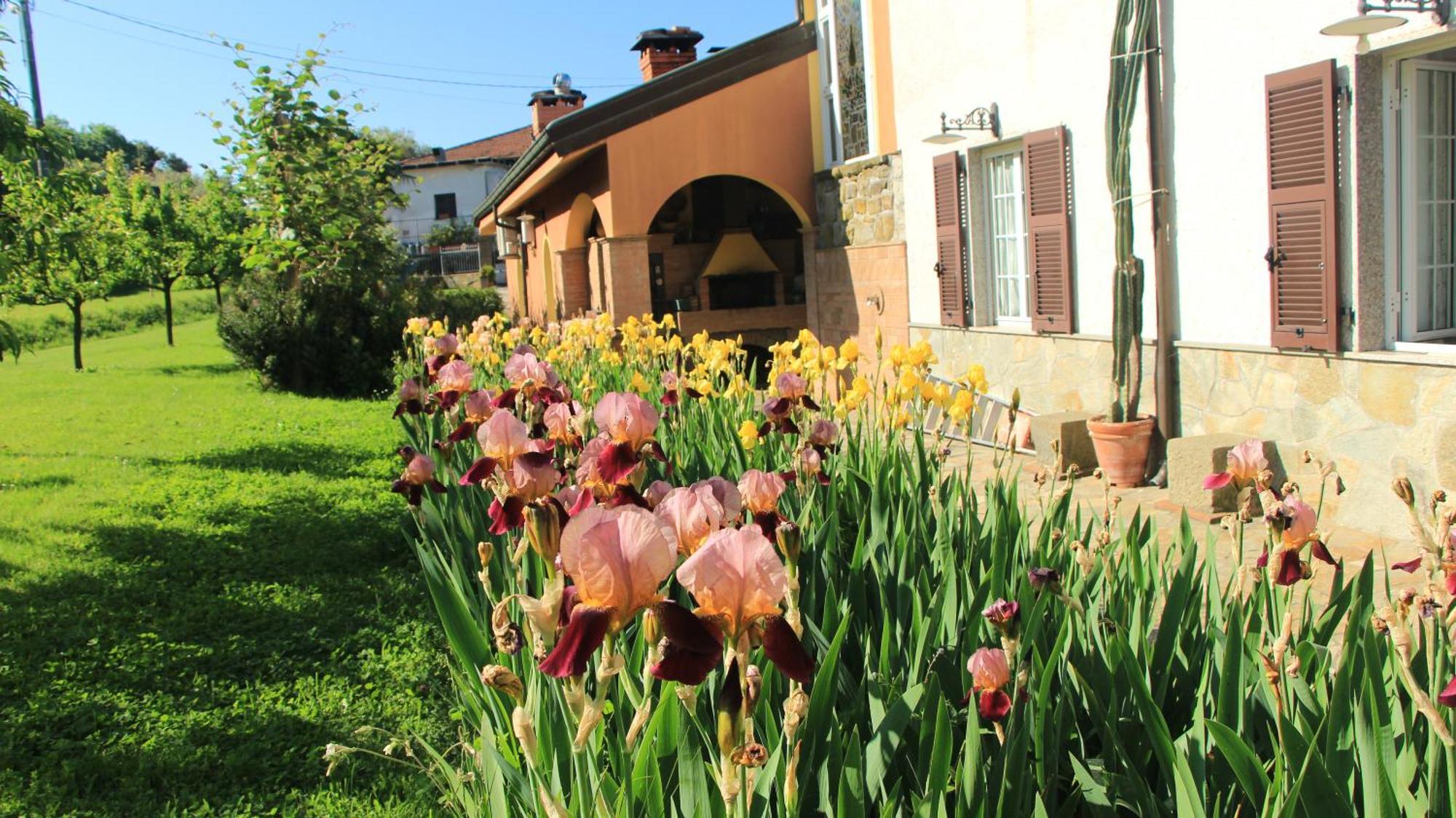 Casa Vacanze Ester Polverara Εξωτερικό φωτογραφία